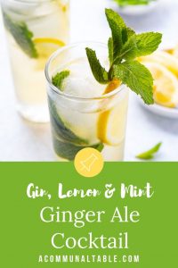 The Ginger Rogers| A gin and ginger ale cocktail